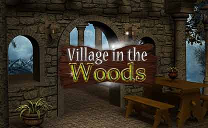 Village In Woods